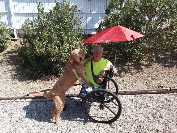 How Easy Is GRIT Freedom Chair To Push or Use for Seniors: large dog on hind legs rests front legs on GRIT Freedom Chair with senior rider