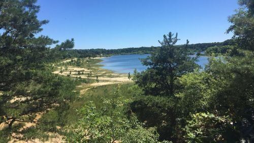 Accessible Hiking Trails You’ve Never Heard Of, Egg Harbor Township Nature Reserve Loop in NJ: green nature reserve around New Jersey lake