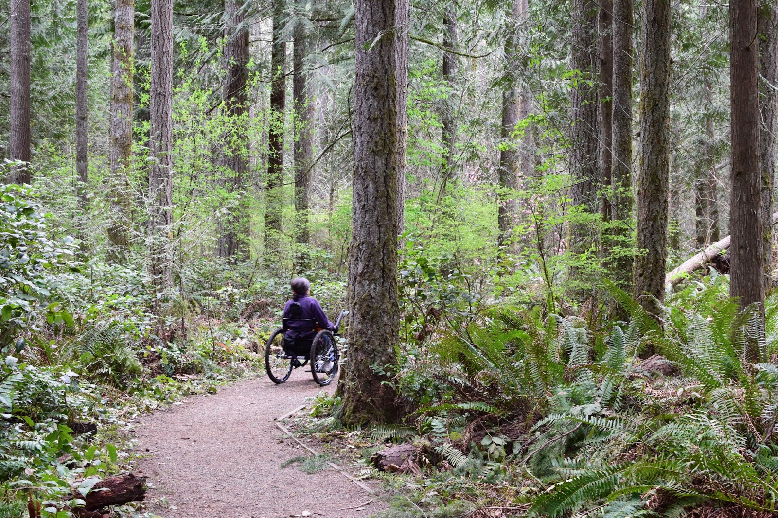 Jenny Schmitz hiking western Washington woods in GRIT Freedom Chair