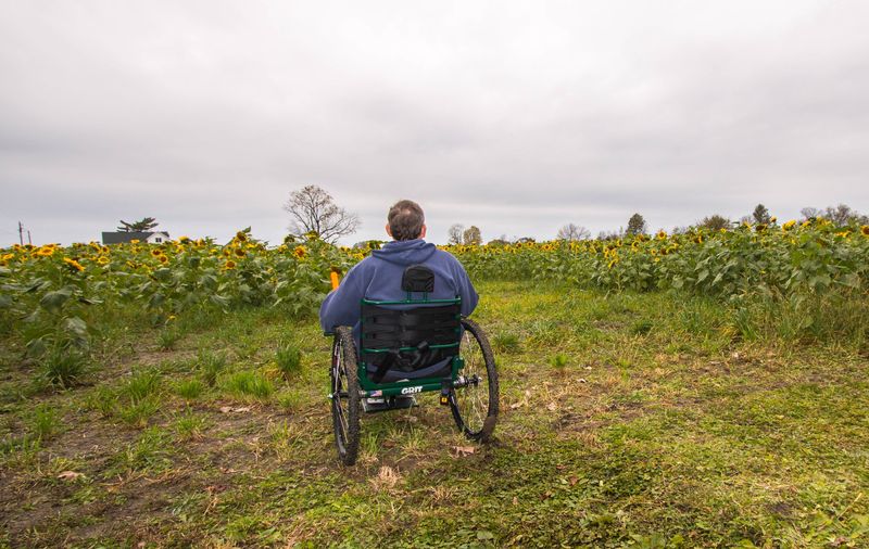 Getting to know my GRIT Freedom Chair: Brad on grass by sunflower field in all-terrain GRIT Freedom Chair wheelchair from behind